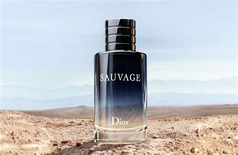 dior perfumes official|Dior perfume online shop.